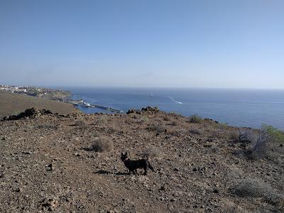 Sandee - Playa De La Guancha