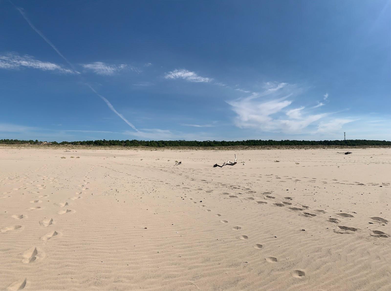 Sandee Plage Oceane