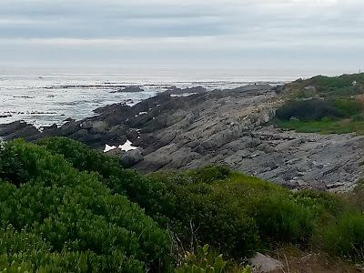 Sandee - Sandbaai Beach