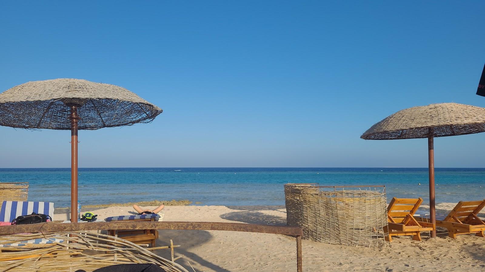 Sandee Vime Gorgonia Beach