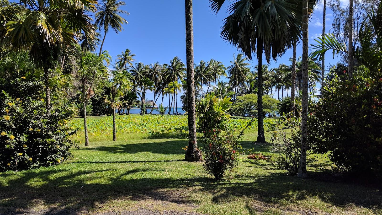 Sandee Harrison Smith Botanical Garden Photo