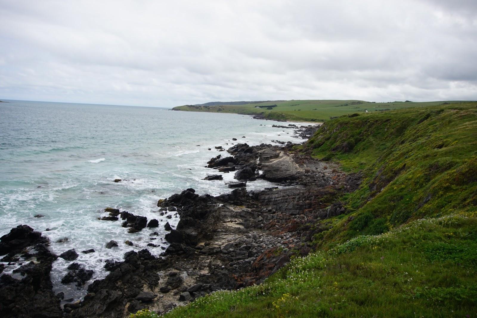 Sandee Petrel Cove Beach
