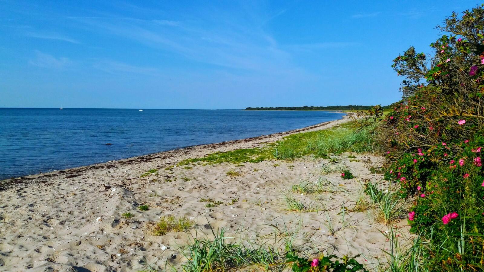 Sandee Skastrup Strand