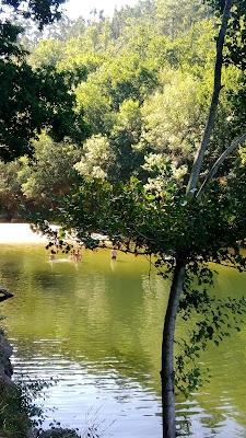 Sandee - Praia Fluvial Da Albufeira Da Queimadela