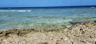 Sandee - Majuro Peace Park