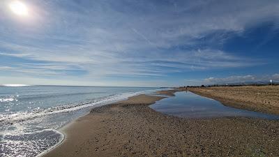 Sandee - Platja De La Pineda