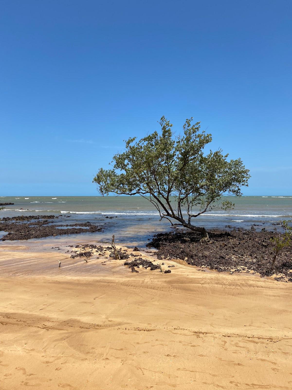 Sandee Praia Da Biologia