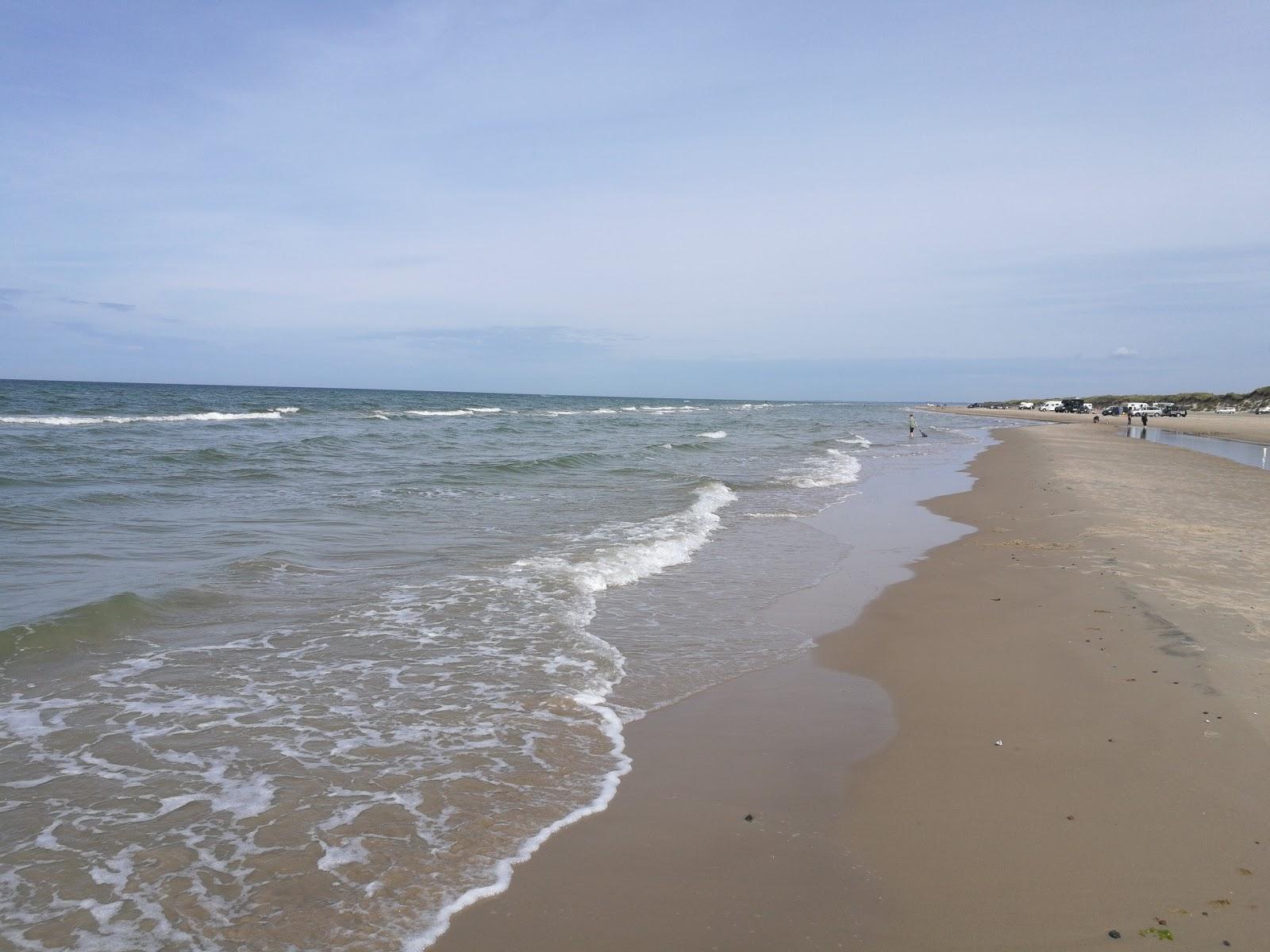 Sandee Kjul Strand