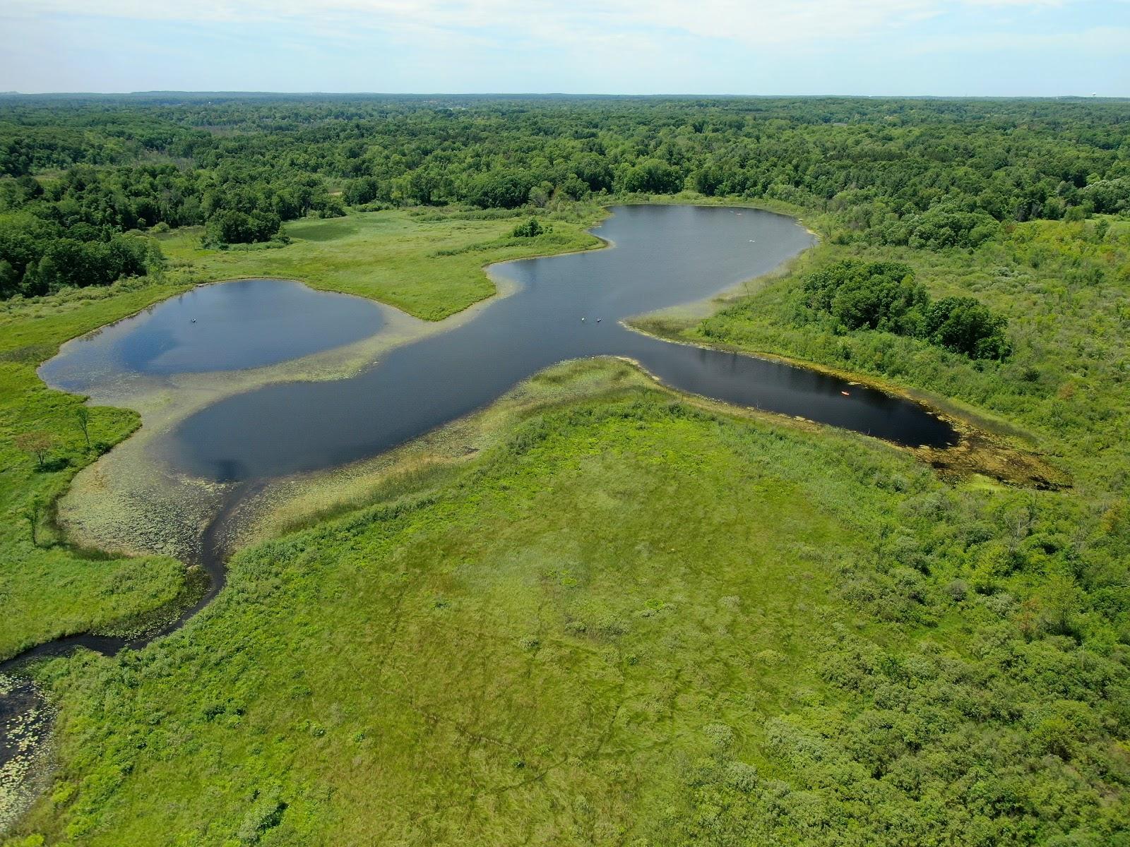 Sandee - Bald Mountain State Recreation Area