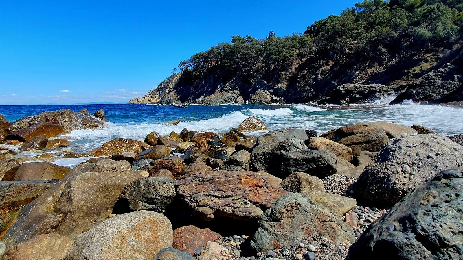 Sandee Spiaggia Della Cala Photo