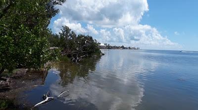 Sandee - Sea Oats Beach