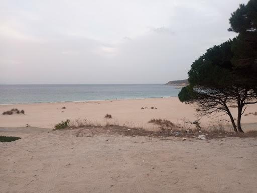 Sandee - Ain Dalia Beach