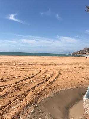 Sandee - Plage De Safi