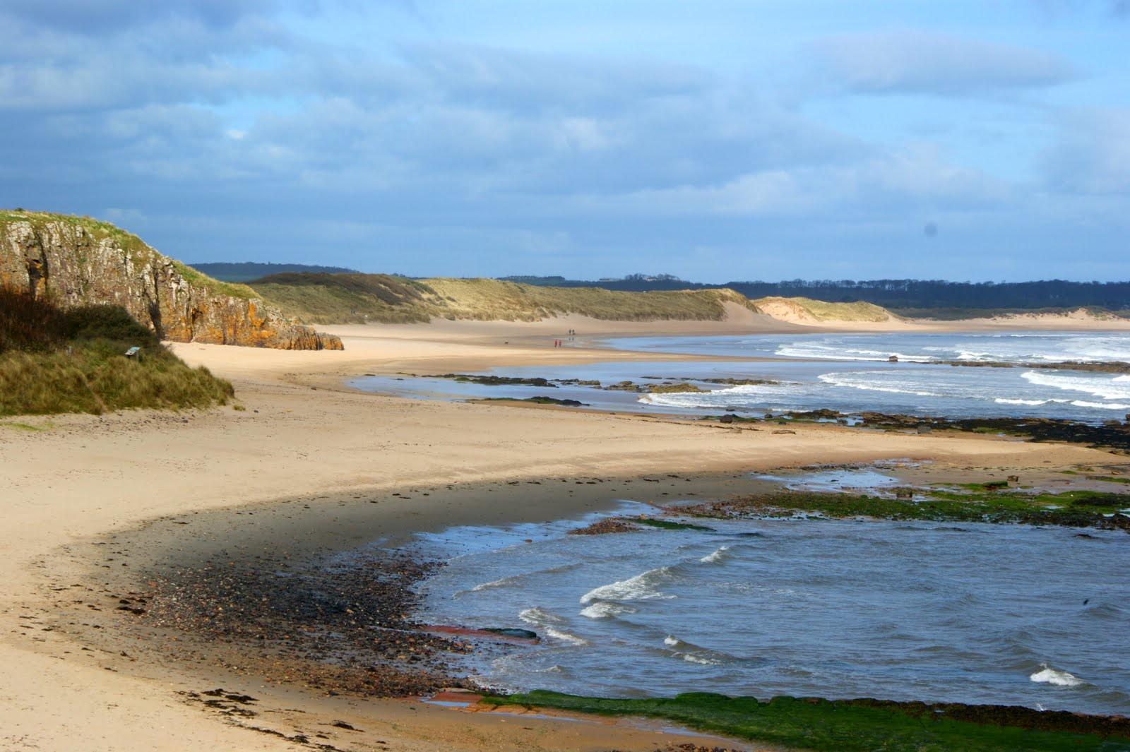 Sandee Limetree Walk Beach