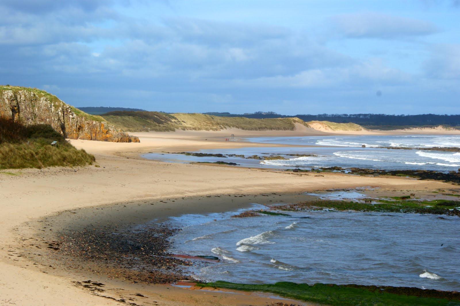 Sandee - Limetree Walk Beach