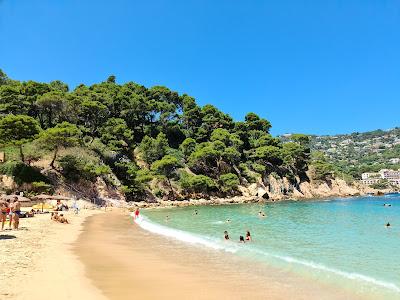 Sandee - Playa De Aiguablava