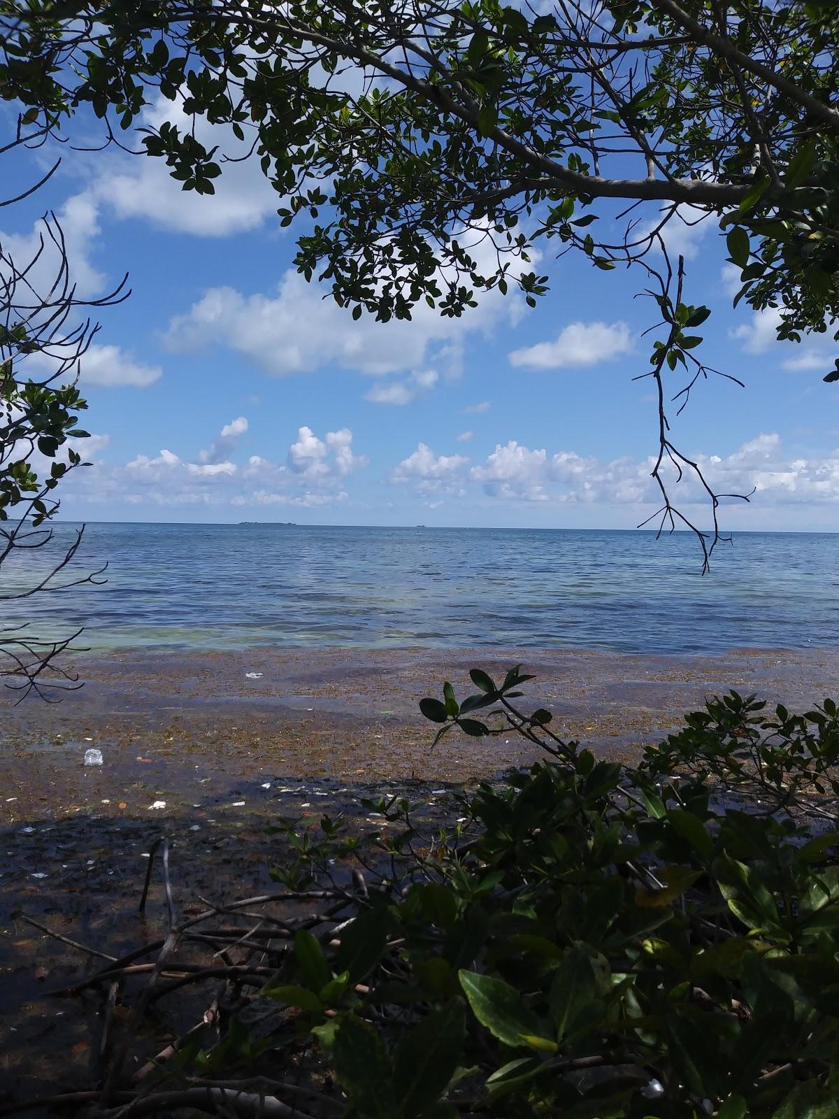 Sandee - Billy Hawk Caye