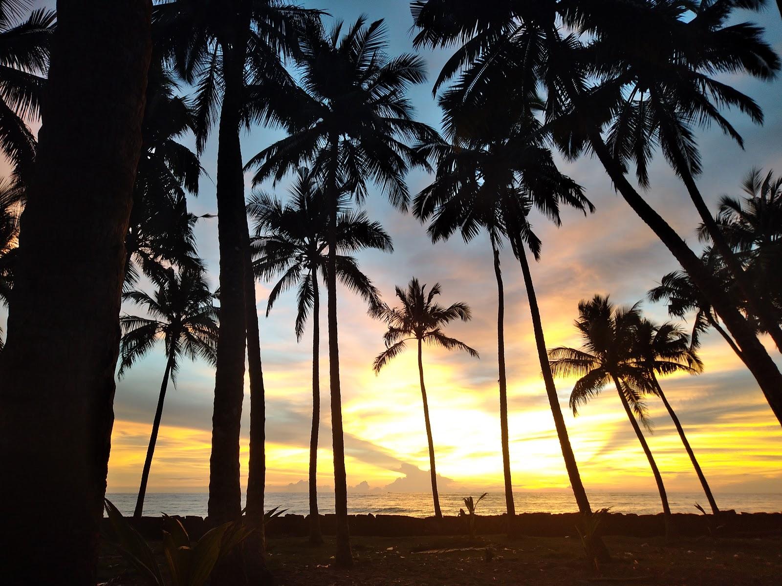 Sandee Ariyallur Beach