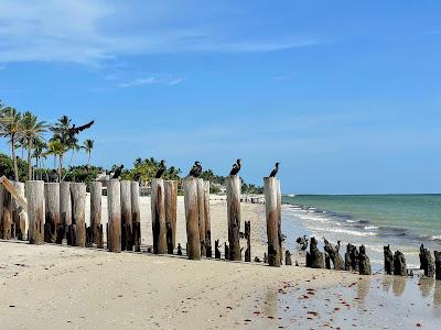 Sandee - Port Royal Beach And Club