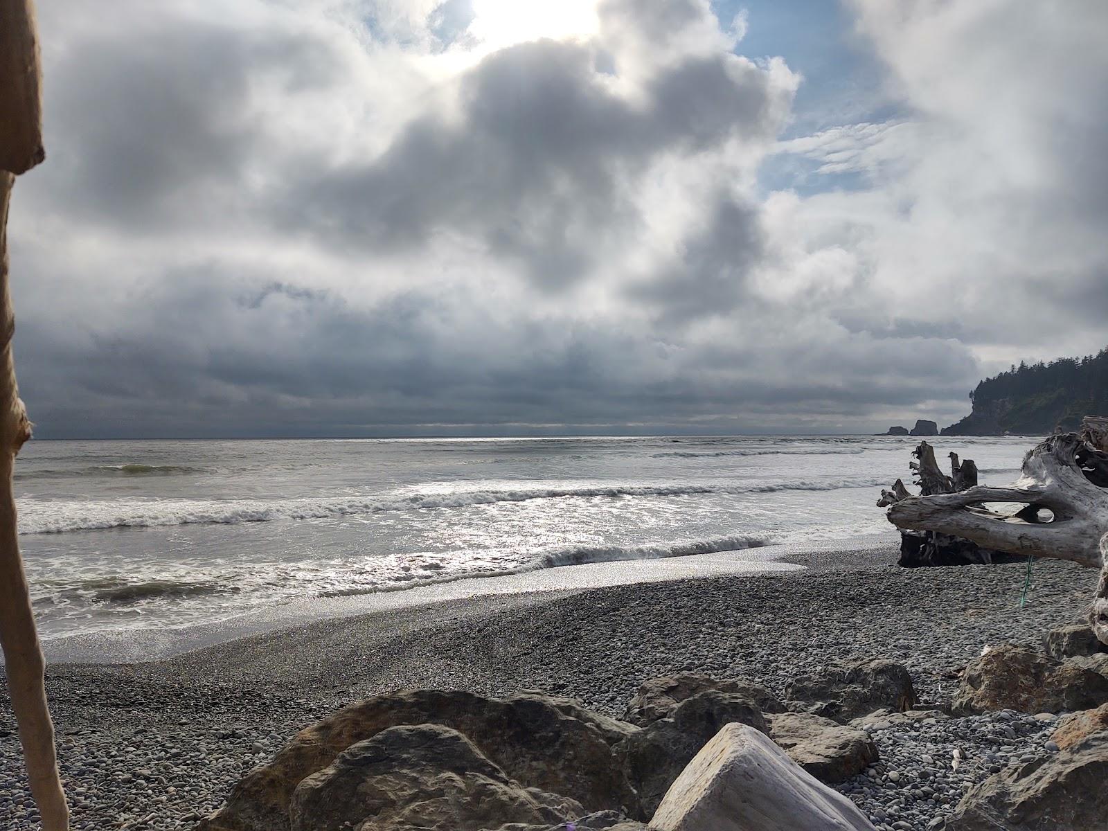Sandee Quinault Reservation