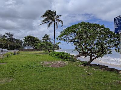 Sandee - Kaluanui Beach