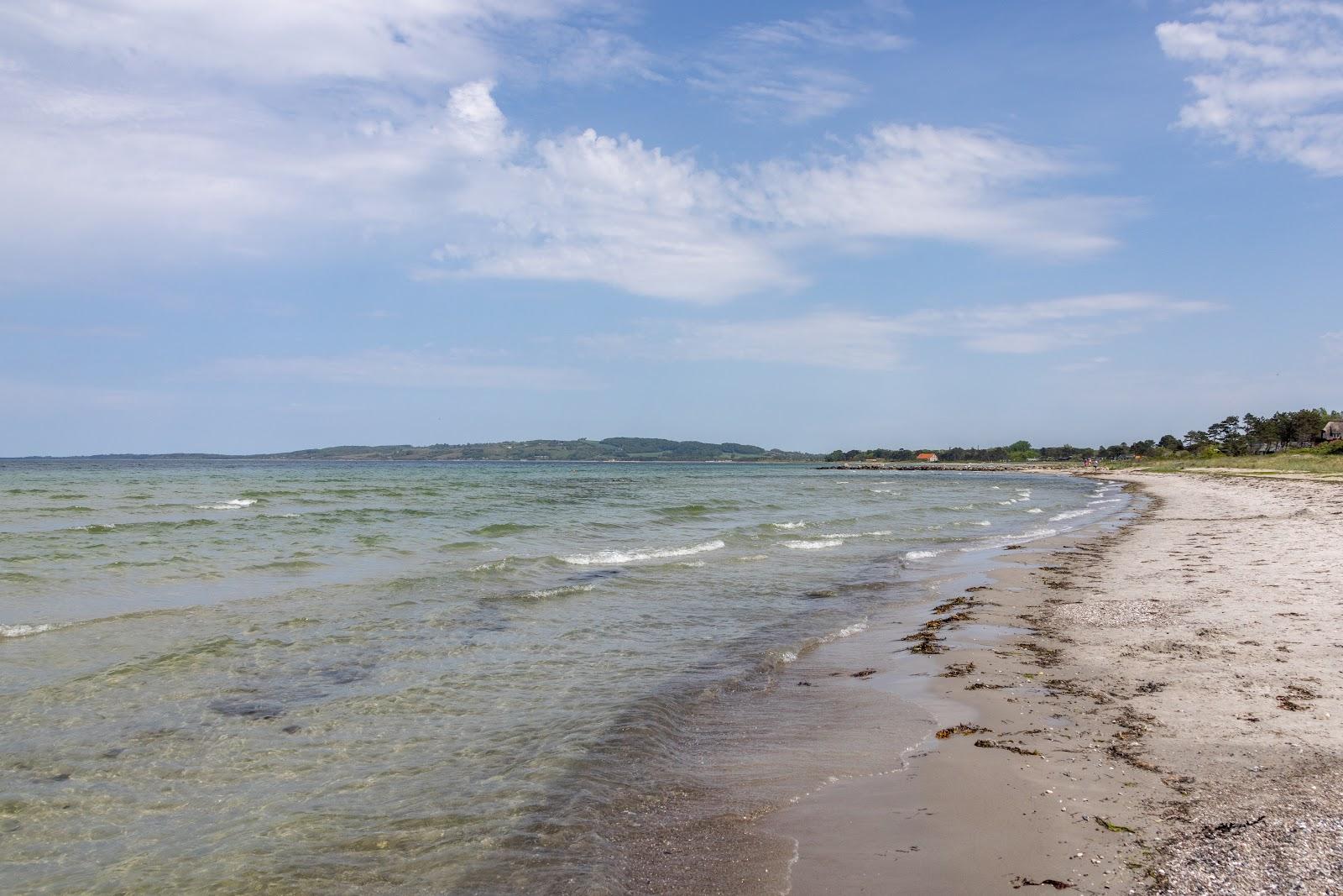 Sandee Havnsø Strand Photo