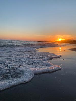 Sandee - Tortuga Beach