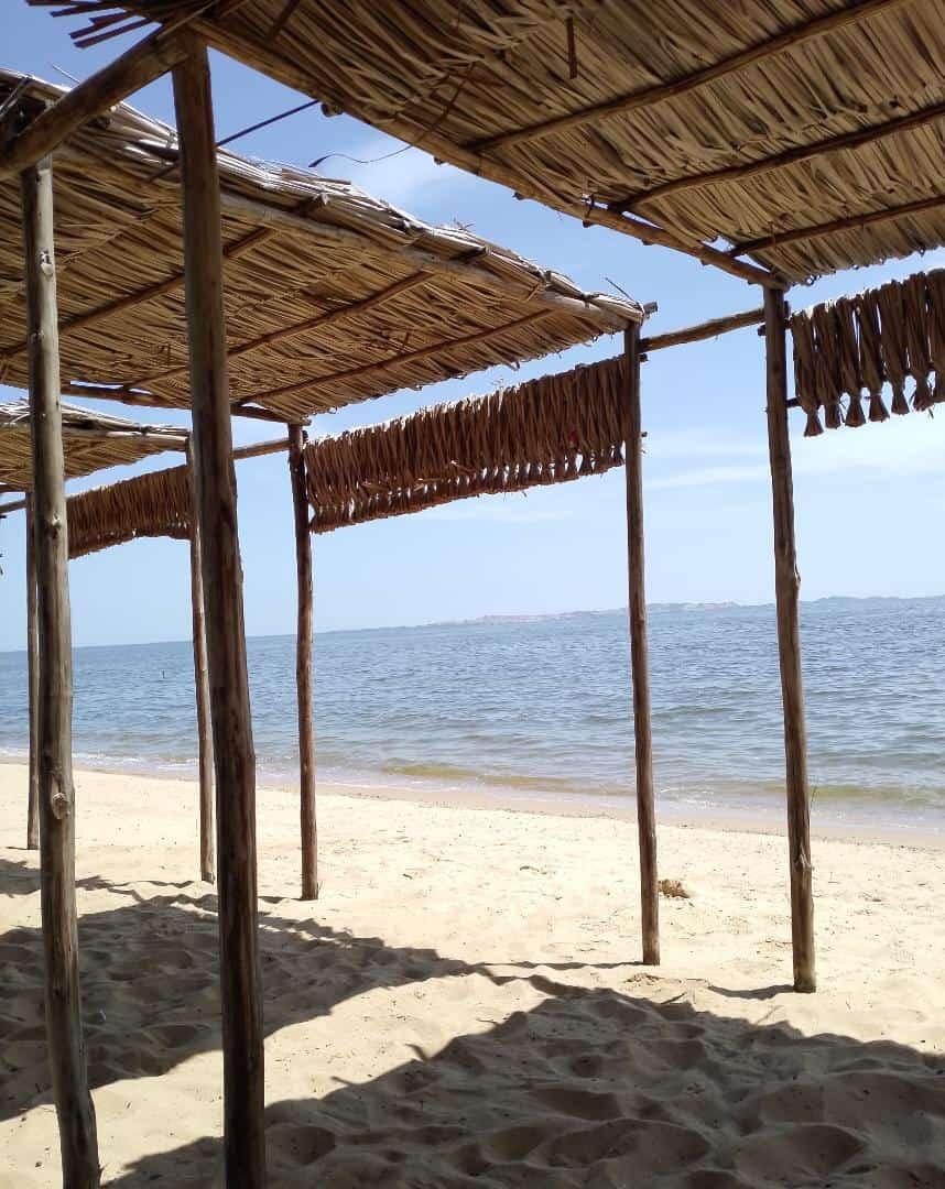 Sandee Playa Las Palmeras