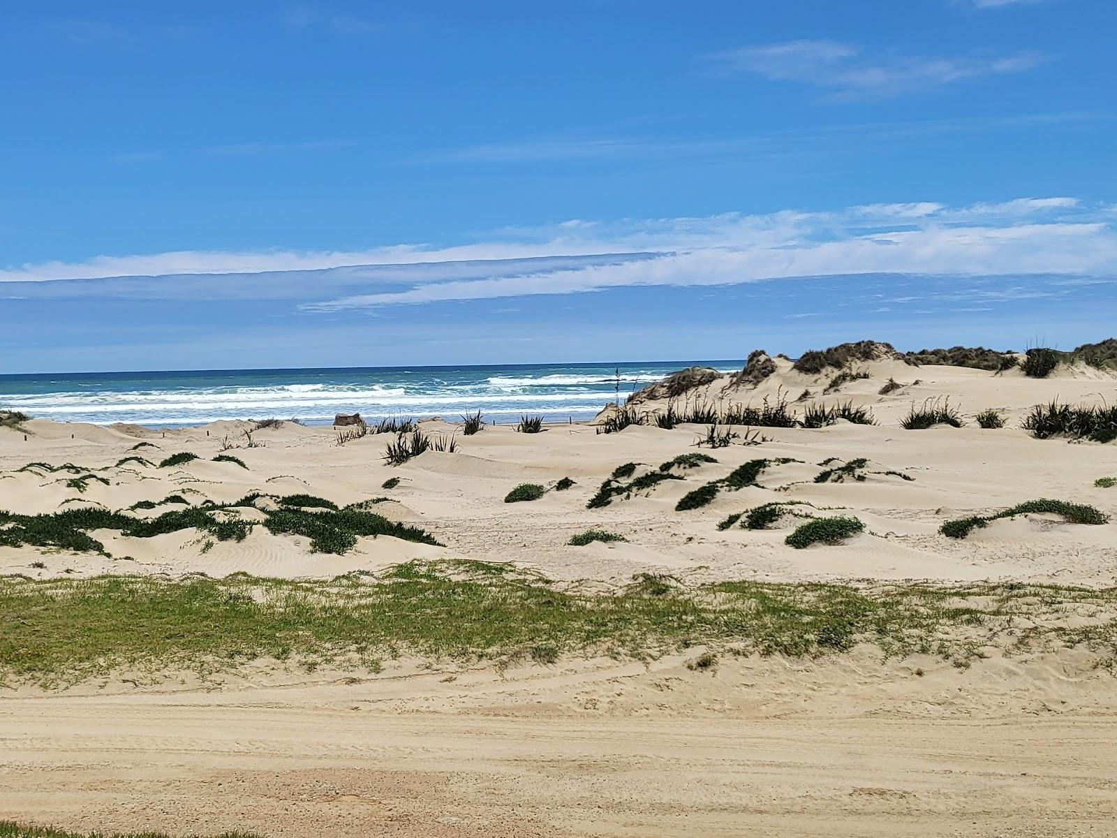 Sandee Maunganui Bluff Reserve