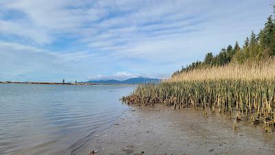 Sandee - Wreck Beach