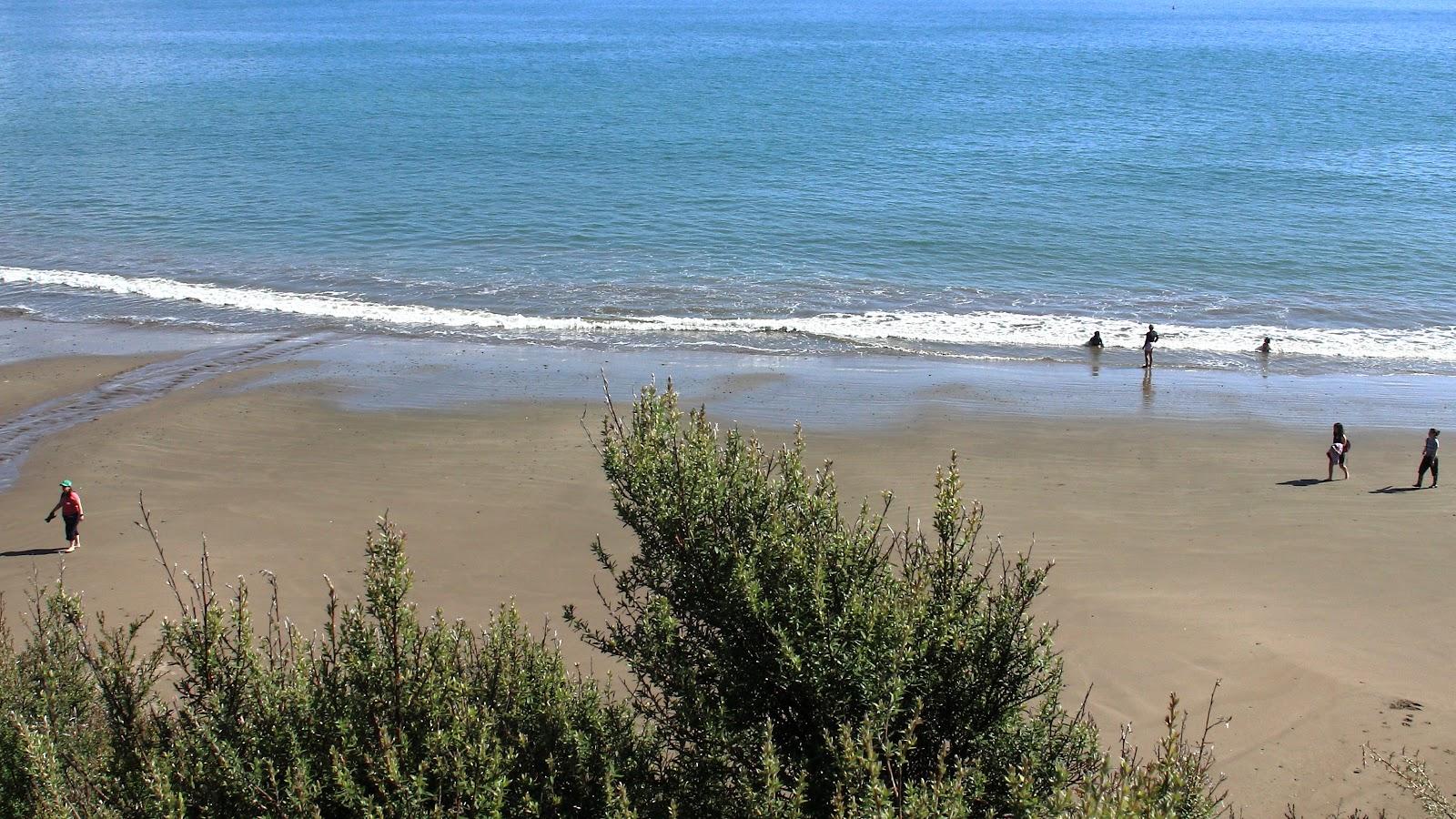 Sandee Tawhitokino Beach