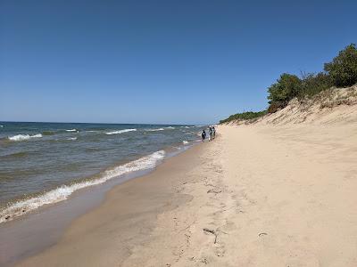 Sandee - Pj Hoffmaster State Park Shoreline Beach