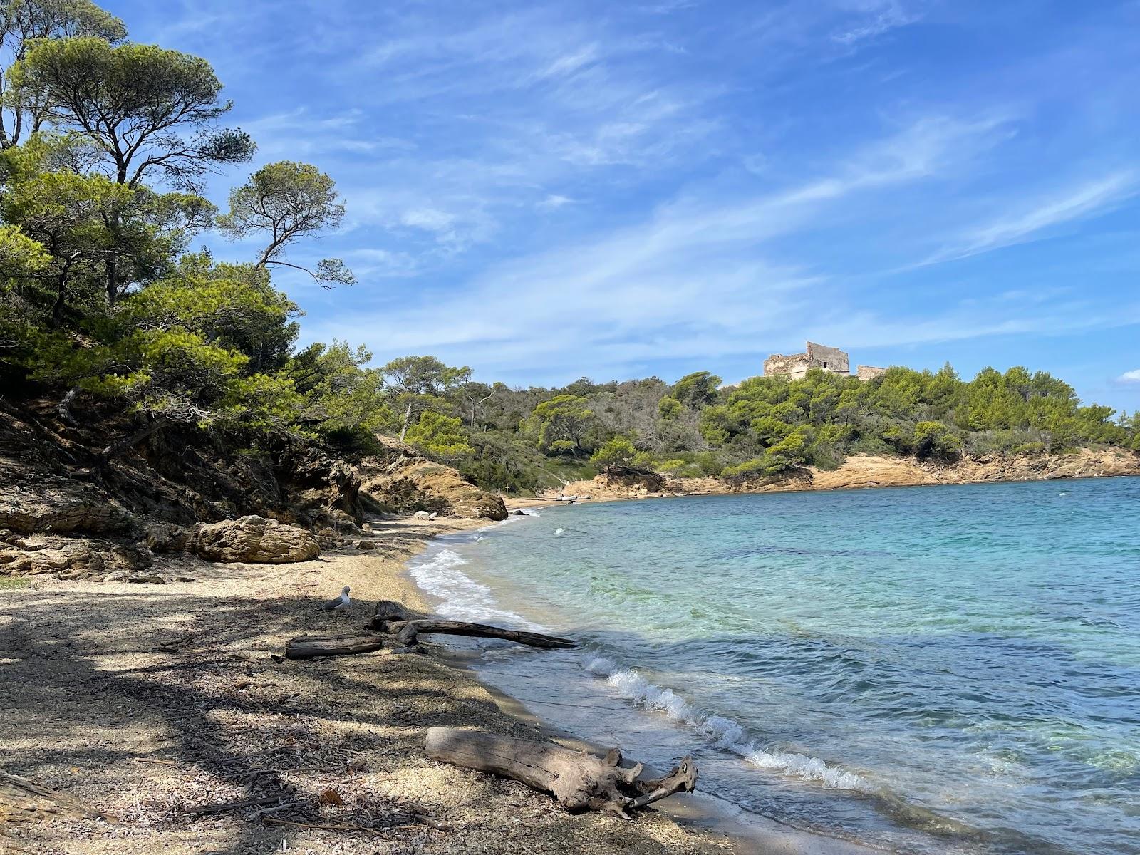 Sandee Plage De L'Alycastre