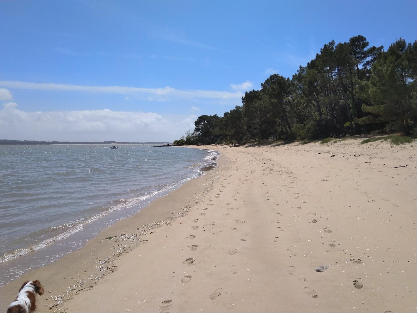 Sandee Plage Du Soleil Photo