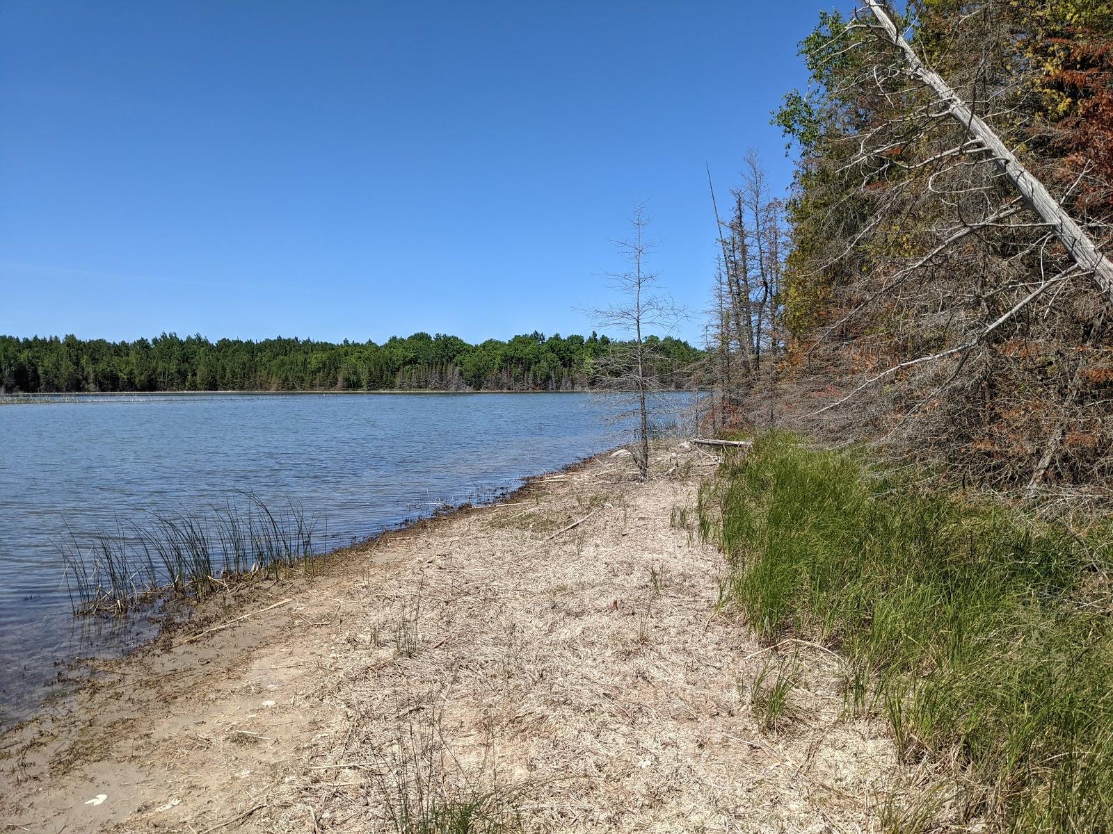 Sandee - Alpena State Park