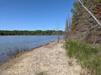 Sandee - Alpena State Park