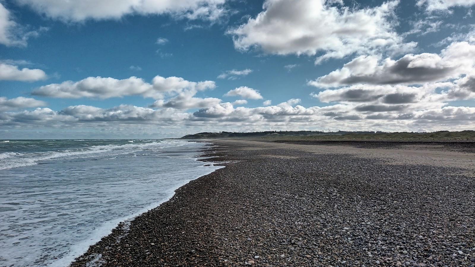 Sandee Kollerup Strand Photo