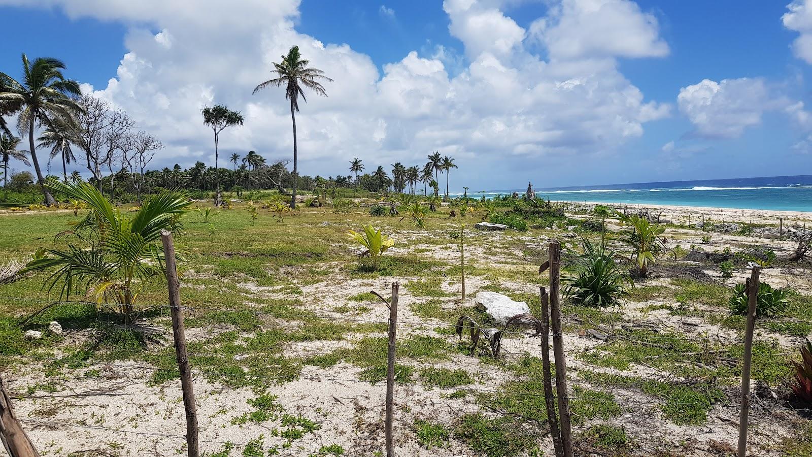 Sandee Mameisinimani Beach Photo