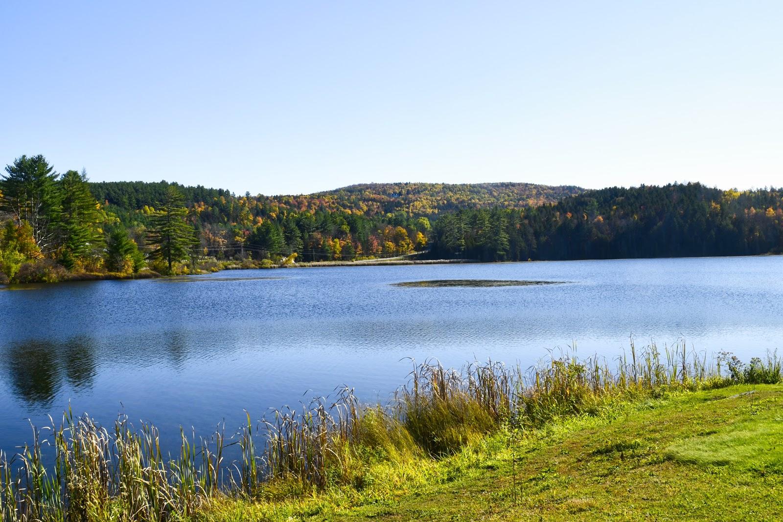 Sandee Baker Pond Photo