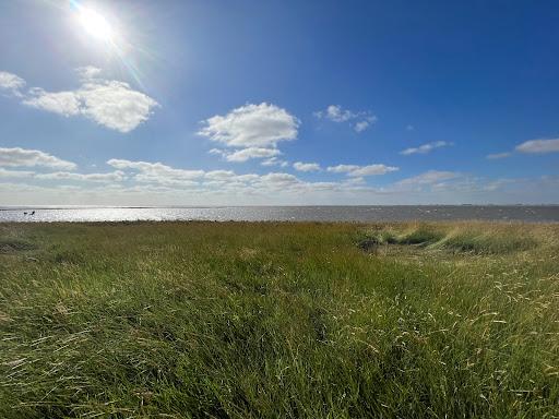 Sandee - Badestrand Wesselburenerkoog