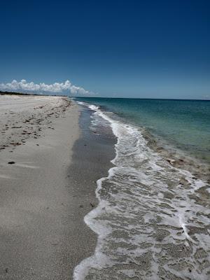 Sandee - Bowman's Beach