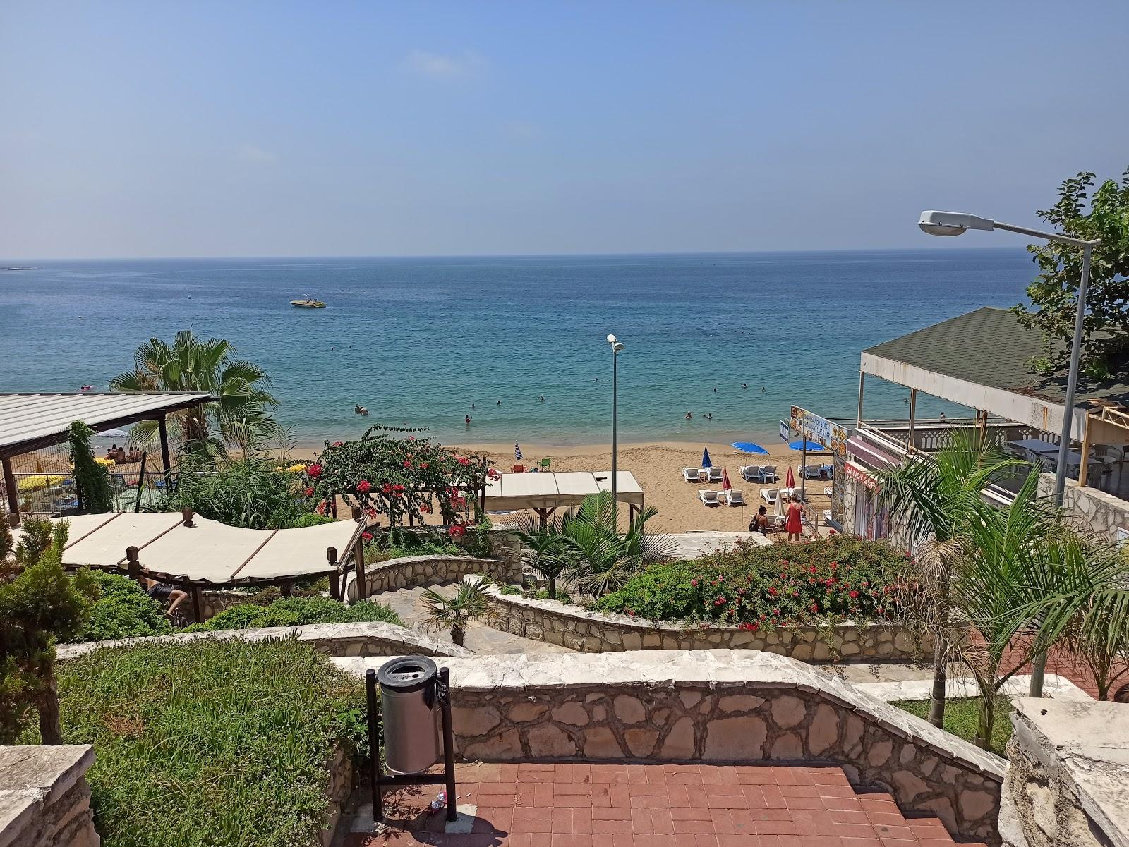 Sandee Avsallar Beach