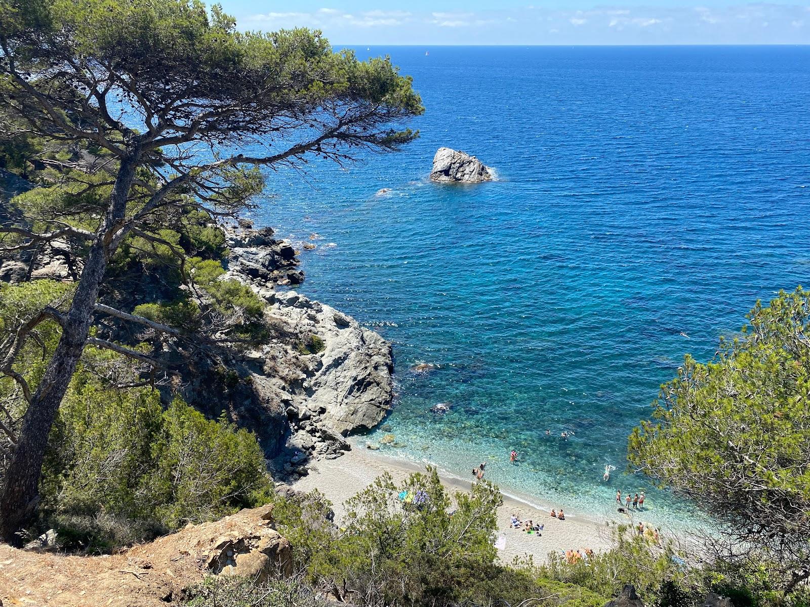 Sandee Plage Du Mont Salva Photo