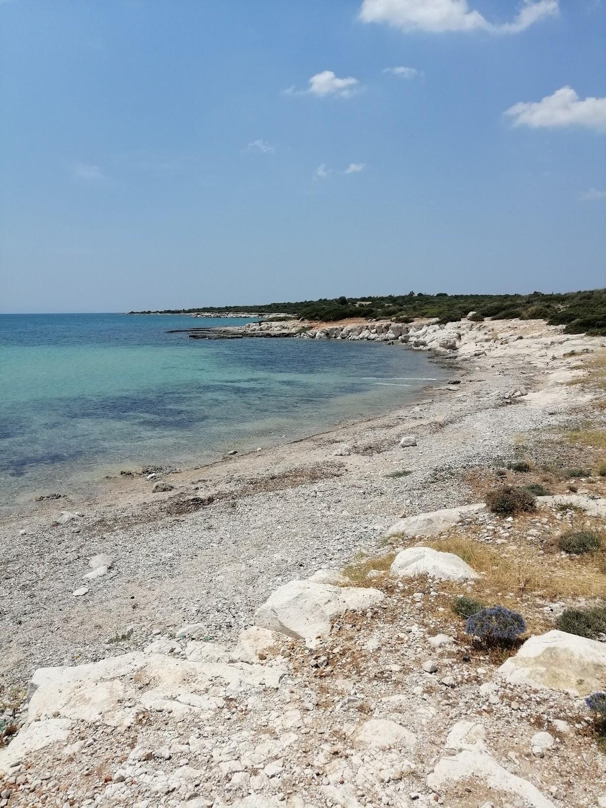 Sandee Akvaryum Didim