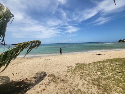 Sandee Cane Bay Beach Photo