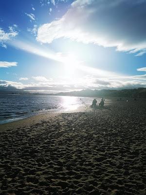 Sandee - Seal Sands Beach