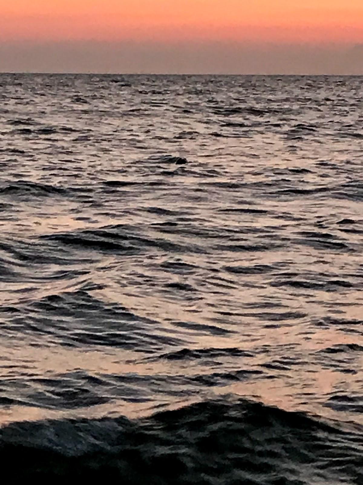 Sandee - Bound Brook Island Beach