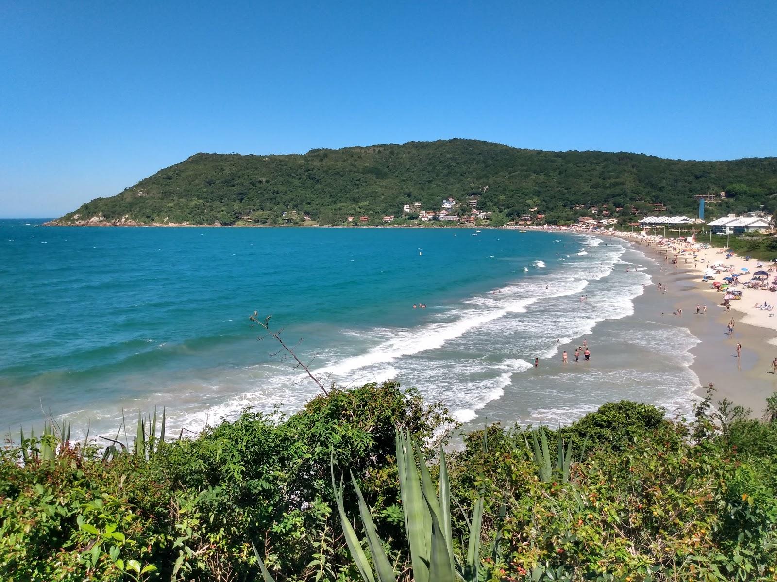 Sandee Praia Da Lagoinha Da Ponta Das Canas Photo