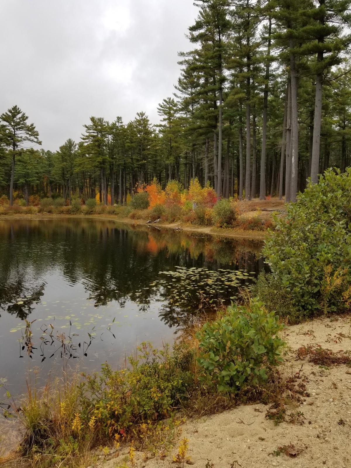 Sandee Clough State Park