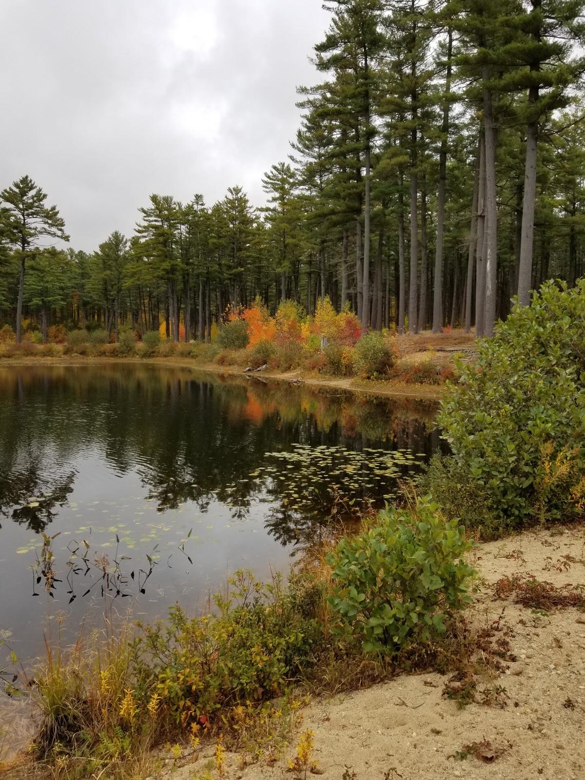 Sandee Clough State Park Photo